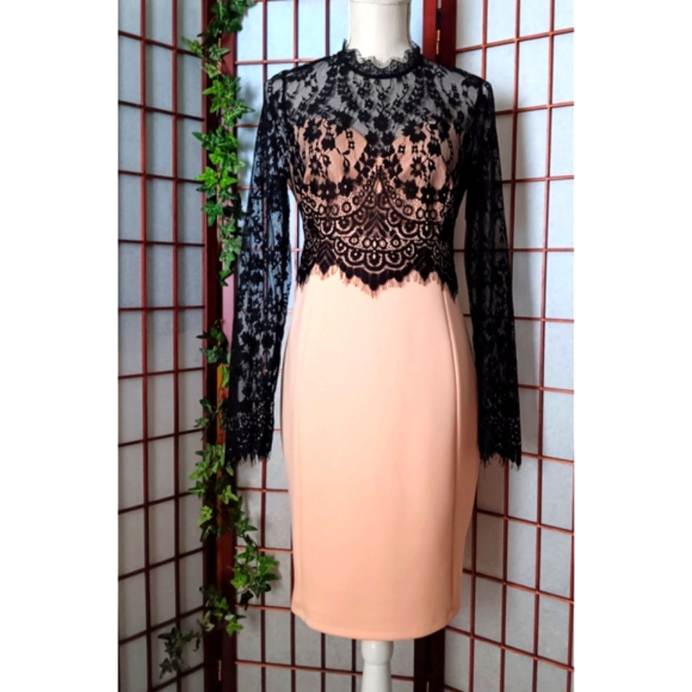 Mustard Seed by Anthropologie | Lace Overlay Sheath Dress with Fringe Accents